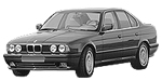 BMW E34 P1448 Fault Code